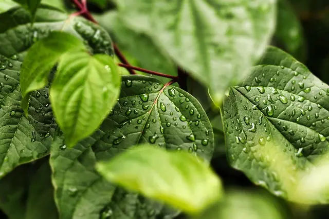 Exploring the Best Eco-Friendly Travel Practices