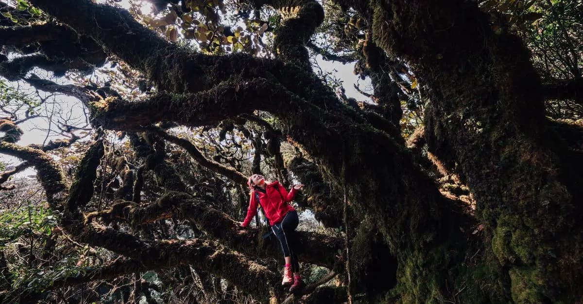 How to Uncover Hidden Gems While Traveling the World