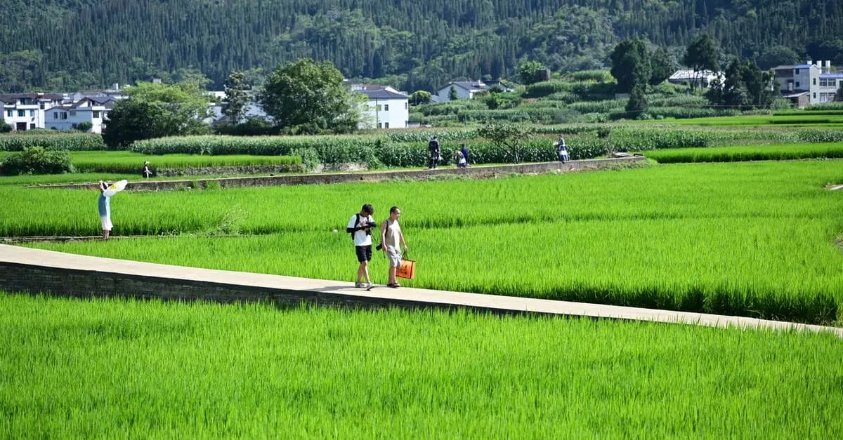 Essential Tips for Exploring the World Responsibly