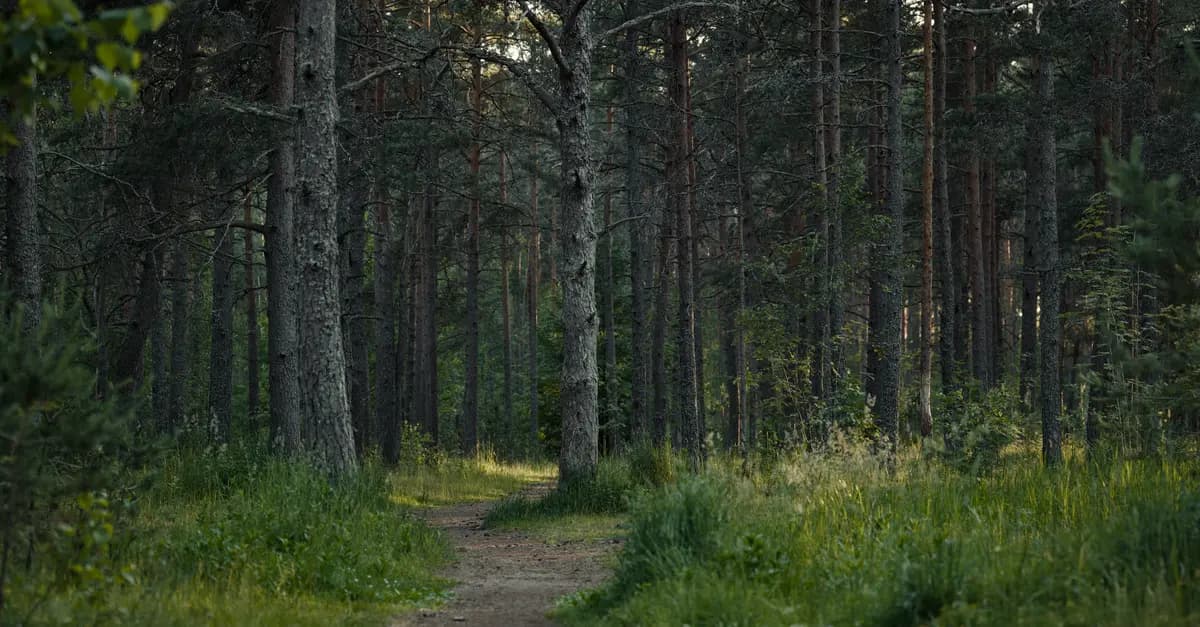 An Expert Review of Eco-Friendly Travel Products