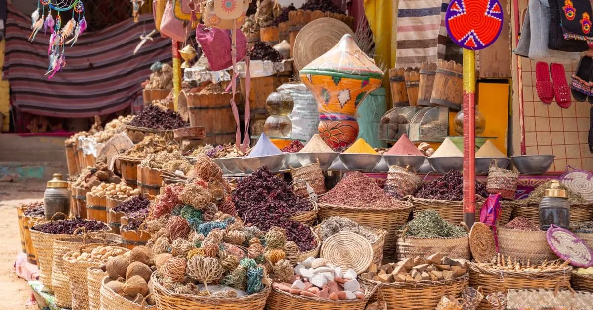 10 Unique Experiences to Explore the World Like a Local