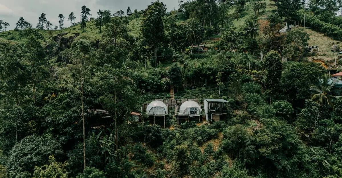 10 Essential Sustainable Travel Practices for Your Adventures