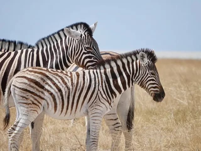 10 Unique Ways to Explore the World Responsibly