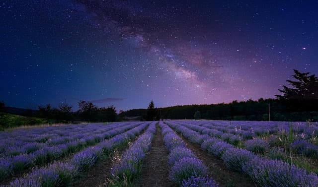 10 Incredible Travel Experiences to Seek Around the Globe