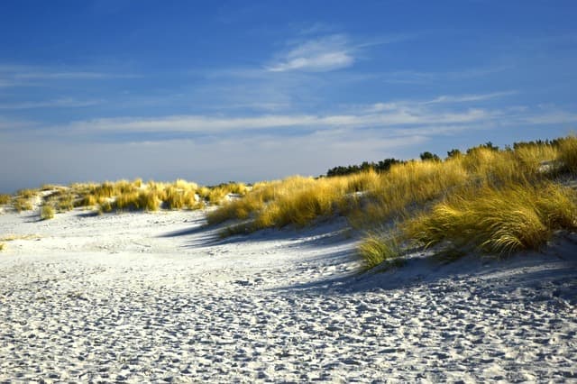 Top 10 Beach Destinations to Explore for Ultimate Relaxation